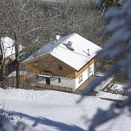 Bergchalet Emberg Mit Sauna Aschau Im Zillertal Zewnętrze zdjęcie